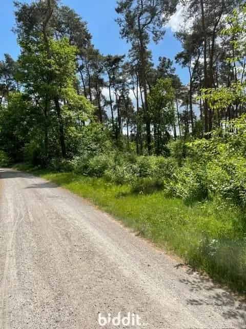 Bosgrond Perceel 43a 90ca