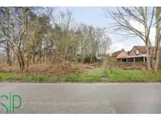 Bouwgrond Westerlo 11a 17ca Open Bebouwing