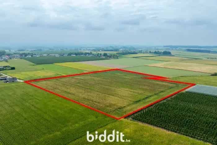RUIM PERCEEL LANDBOUWGROND