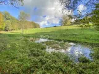 Landbouwgrond te Koop Rance 80 are 30 ca Paardenliefhebbers