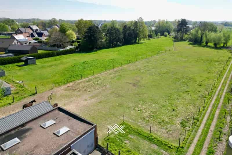 Grond te huur: 3 woningen, handelspand & weide