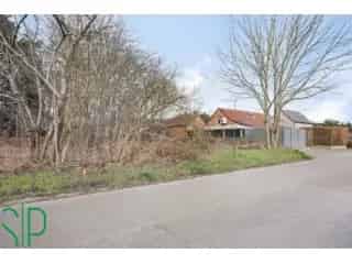 Bouwgrond Westerlo 11a 17ca Open Bebouwing
