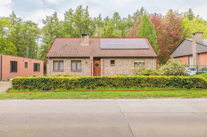 Open Woning 4 Slaapkamers Volledige Keldering 1372m²