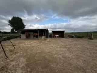 Landbouwgrond Beveren 6000m2 met Stallen