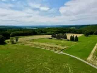 Landbouwgrond te koop Rochefort - Weiland nabij Han-sur-Lesse