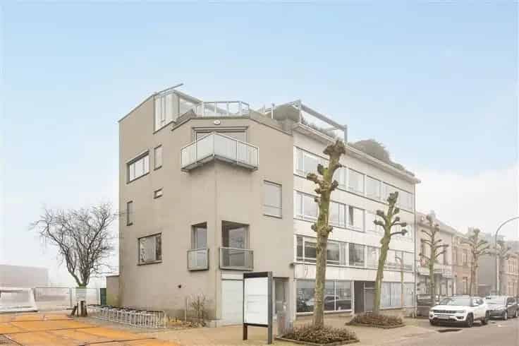 Huis Te Koop Unieke Woning 224m2 Grote Gezinnen