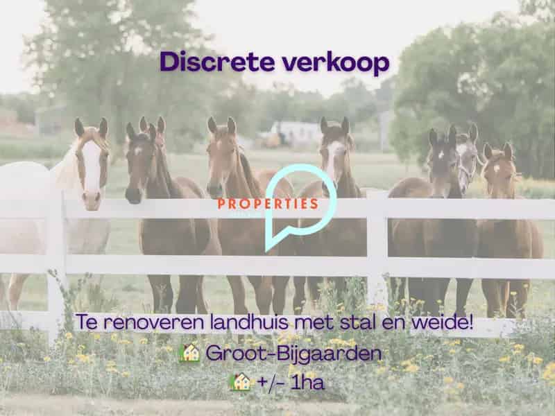 Huis te huur