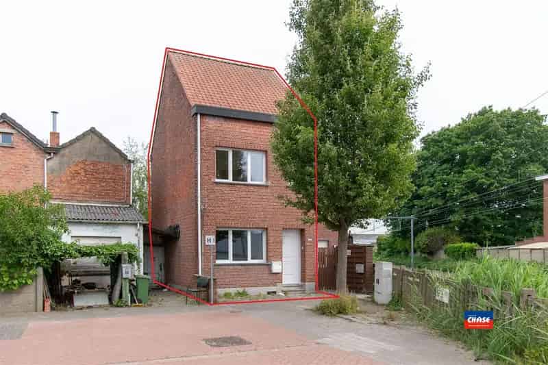 Huis te koop Hemiksem 3 4 slaapkamers stadstuin