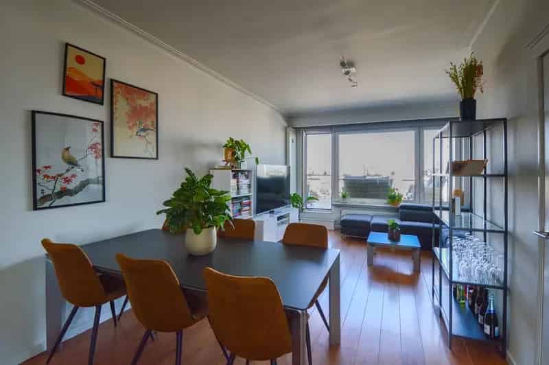 Dakappartement Antwerpen: Zonnig Terras Stadspanorama