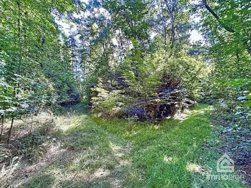 Uniek perceel 9050m2 Grote Brogel Peer