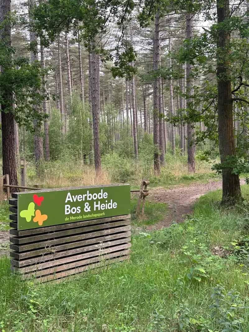 Huis te huur Scherpenheuvel Zichem 47a Nabij Averbode Bos