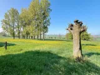 Fermette te koop - Twee huizen - Magazijn - 6ha land