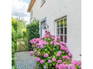 Villa te koop Braine l Alleud 230m2 4 slaapkamers