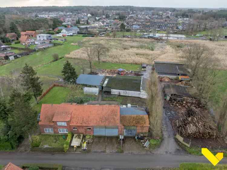 Langgevelhoeve met stallen en weiland te huur