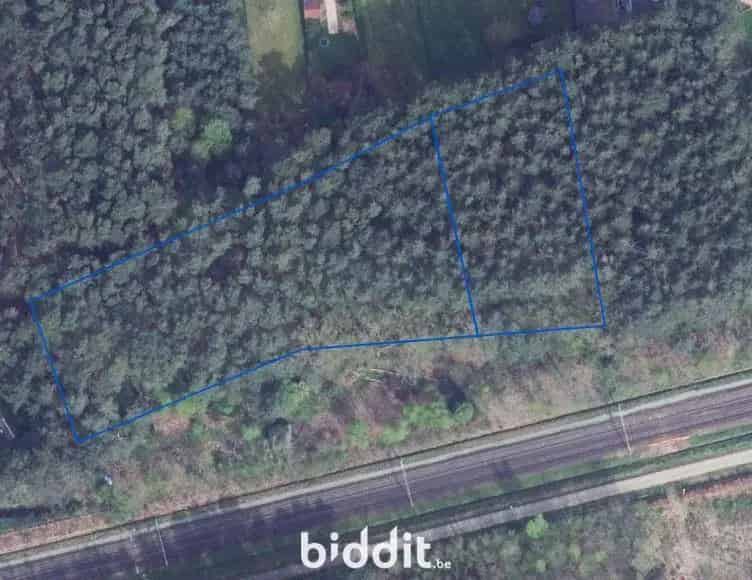 2 Bospercelen te koop in parkgebied Langdorp