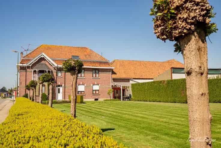 Vierkantshoeve 8ha Geetbets  Paardenstallen Bijgebouw