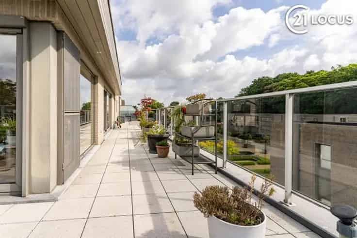 Penthouse Belsele 192m2 150m2 Terras