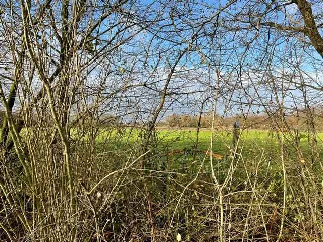 Perceel bouwgrond kopen in centrum met uitzicht op natuurgebied