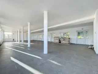 Kantoorruimte te Huur Doornik 500m²