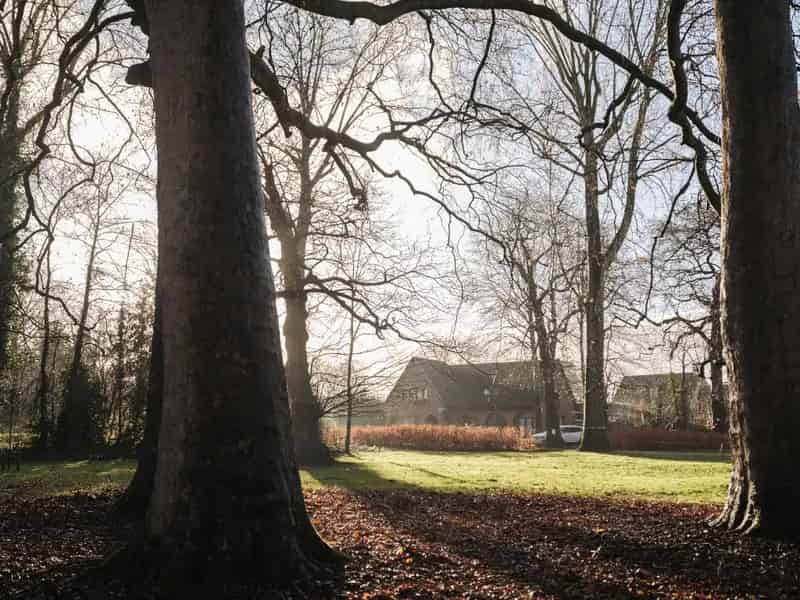 Vrijstaande Villa te renoveren nabij Leie