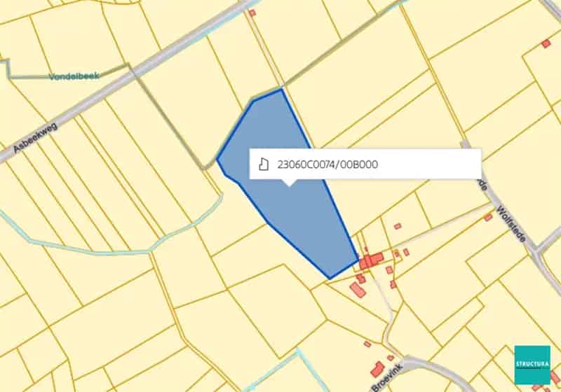 Bos in natuurgebied Volledige aanbod