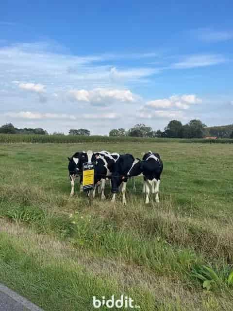 Bouwland te koop nabij Polderken 1ha 21a 38ca