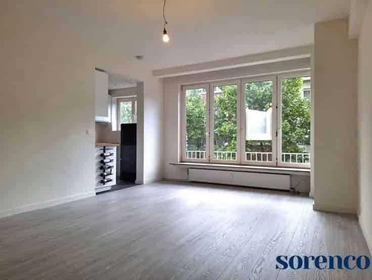 Appartement Te Koop Antwerpen Centrum 1 Slaapkamer Gerenoveerd