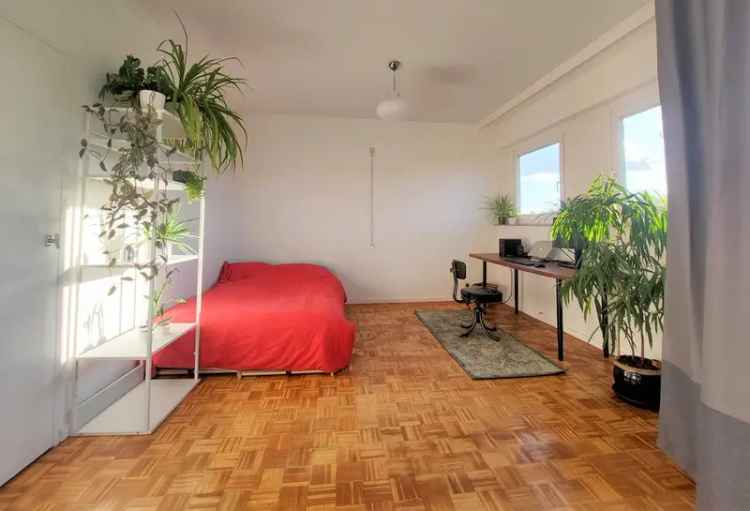 Studio te koop Antwerpen: Lichtrijk en betaalbaar