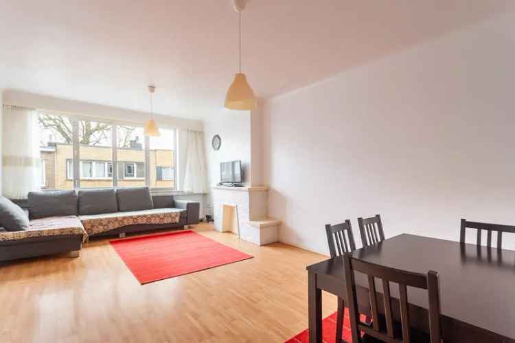 Appartement met uitzicht op 38 kleurrijke papegaaien! 8448114