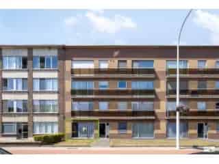Te renoveren gelijkvloers appartement Hemiksem