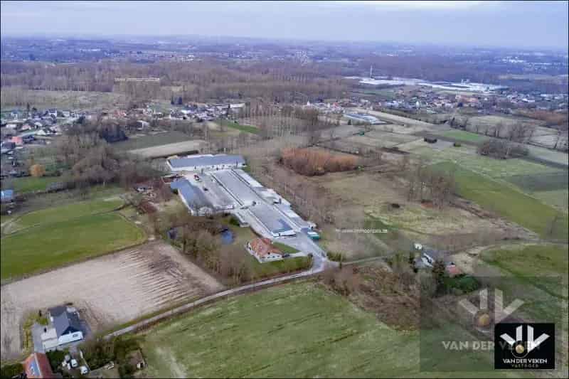 Landbouwgrond te koop Wellen 115 hectare