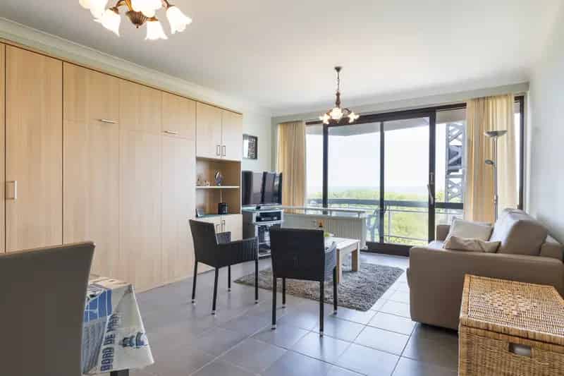 Studio Zeezicht Blankenberge Te Koop