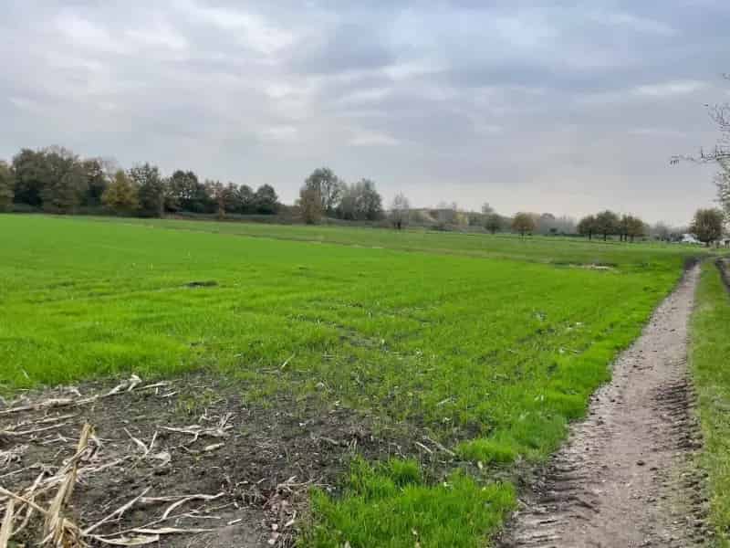 Landbouwgrond te koop Lochristi 5550m²