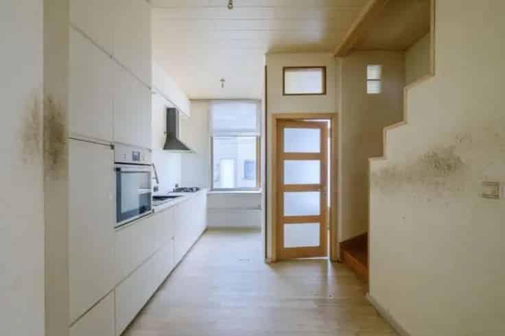 Huis Te Koop 2 Slaapkamers Tuin Op Te Frissen
