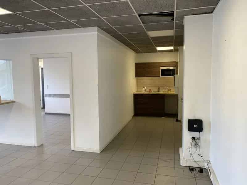 Noordersingel 13 Antwerpen Volledig Aanbod