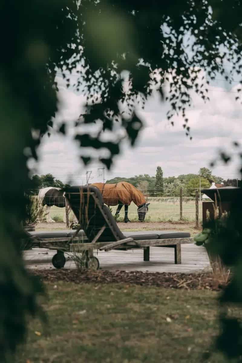 Huis te huur met bijgebouwen in groene omgeving