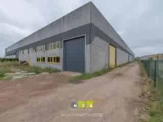 Industriehal te koop Maaseik 3060m²