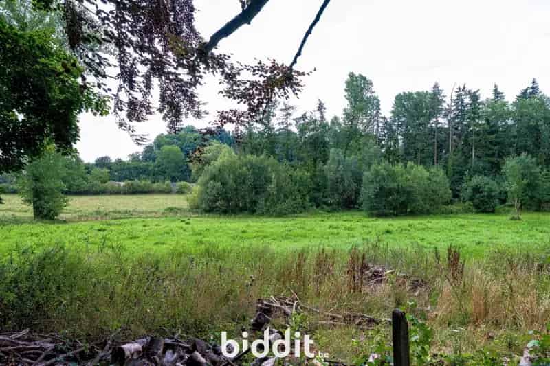 Te Koop Ruime Eigendom met Tuin Bos Grond en Weides