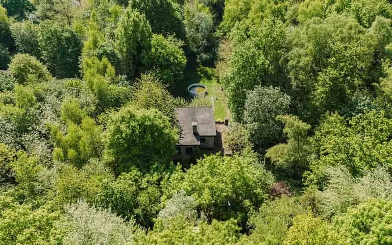 Huis te koop Sint-Niklaas: Privé bos, nabij Grote Markt