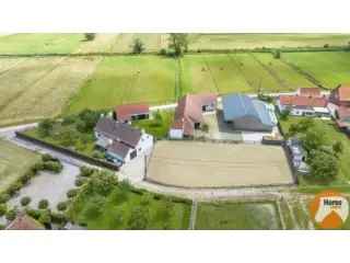 Fermette te koop Wortegem-Petegem - Landelijke woning met paardenfaciliteiten