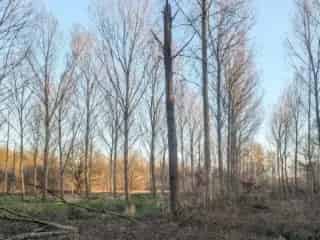 Landbouwgrond te koop Haacht 13 hectare