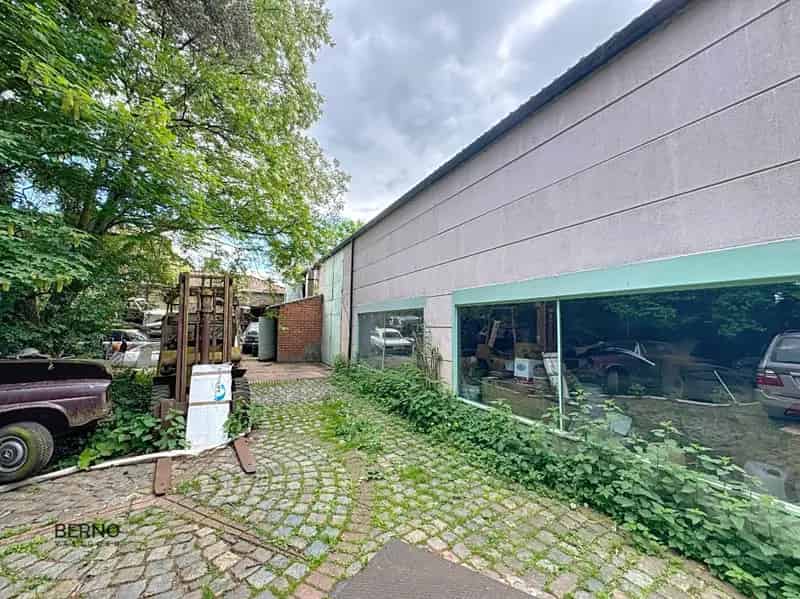 Handelspand te koop Opwijk