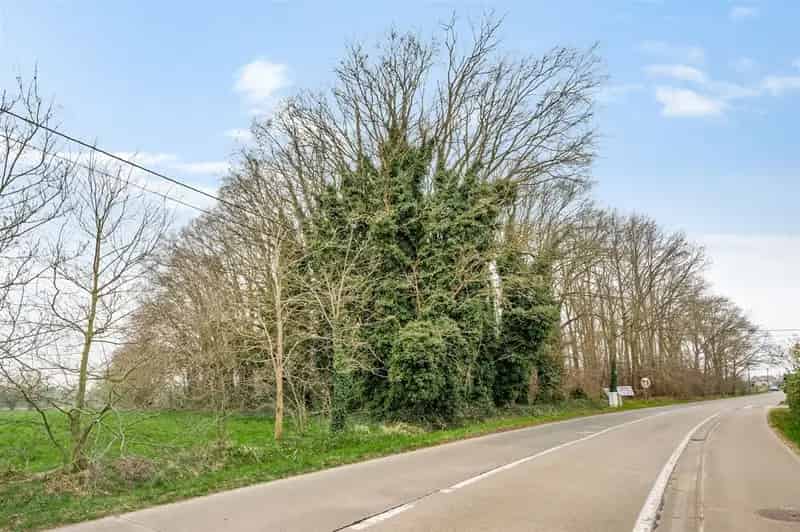 Bouwgrond te Koop Sint-Katelijne-Waver 9058m2