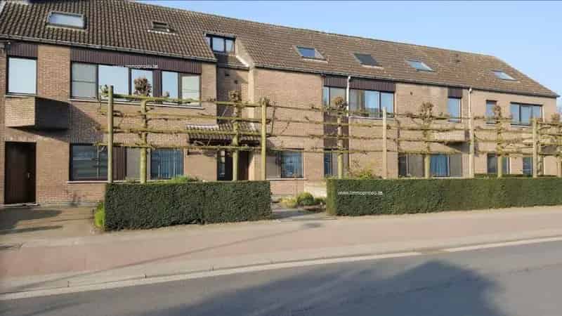Handelspand te Koop Willebroek Nabij A12