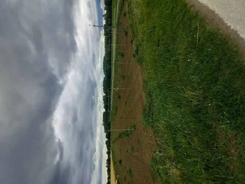 Landbouwgrond 4800m2 te koop Bavegem Sint Lievens Houtem