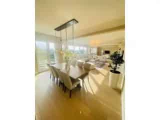 Penthouse te koop Antwerpen 3 slaapkamers Albertpark
