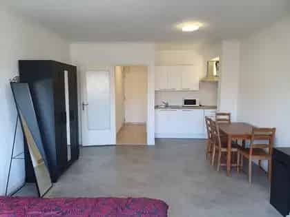 40m² Studio Nabij Centrum, Parkzicht, gerenoveerd
