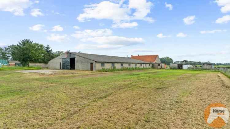 Landbouwwoning te renoveren met loods 23 Ha Heist op den Berg