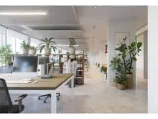 Kantoorruimte te koop Antwerpen 763m² Rijnpoort