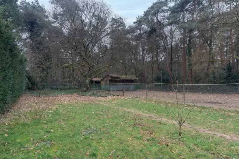 Ruim perceel 3619 m2 open bebouwing